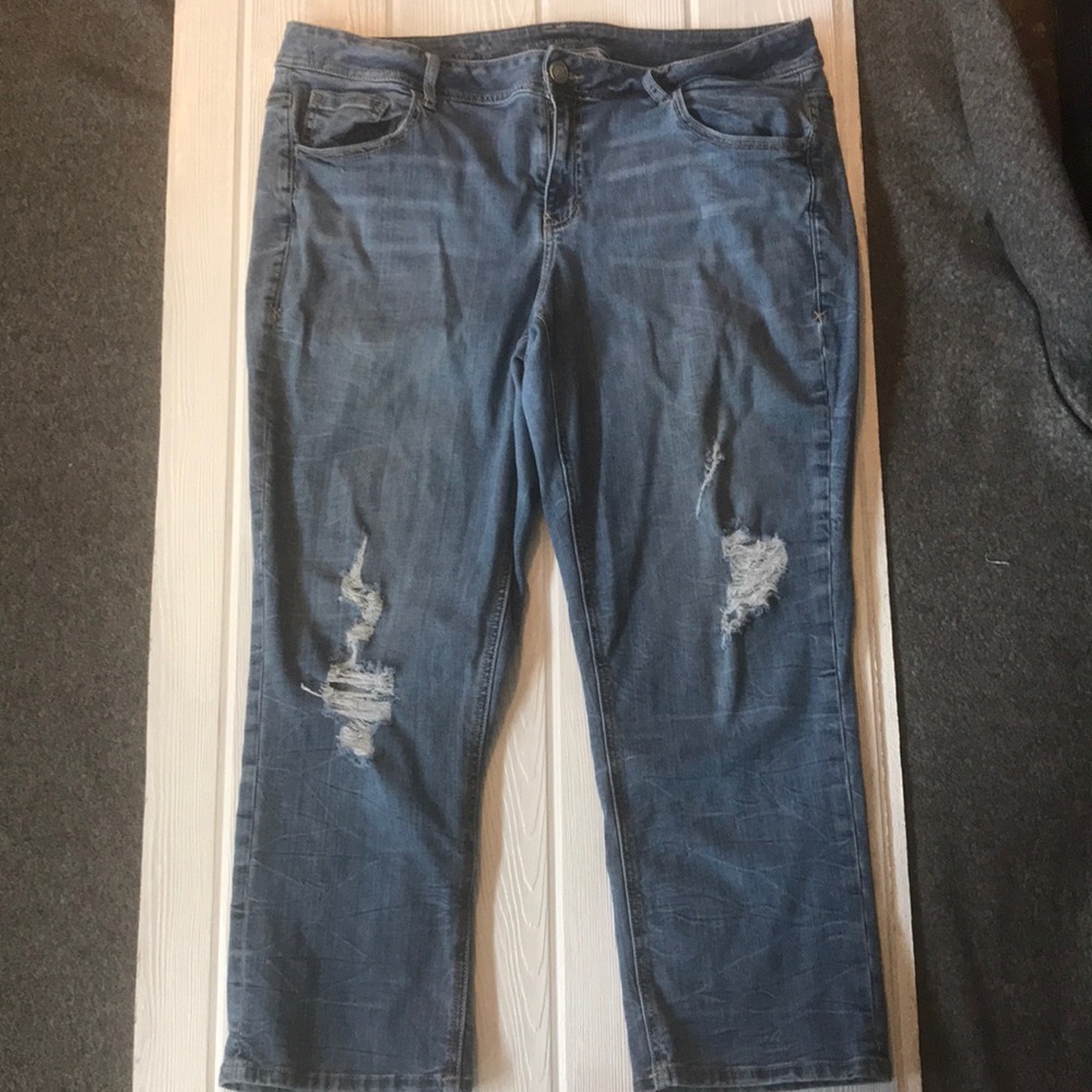 Lane Bryant Jean Capri